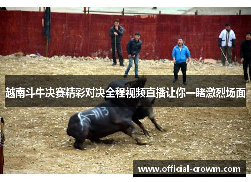 越南斗牛决赛精彩对决全程视频直播让你一睹激烈场面